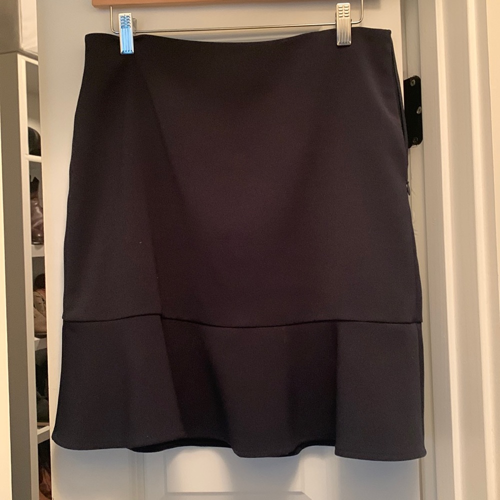 Ann Taylor Skirt